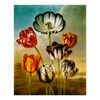 vintage_botanical_tulips_poster-rae6eef5ec901471b9ff1ef1b018c6581_aznej_8byvr_512.jpg