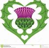 thistle3.jpg