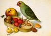 Nuts, Seeds, Fruit and a Bird