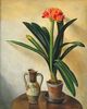 A simple clivia