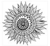 sunflower.jpeg