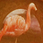 41438448N05.jpg