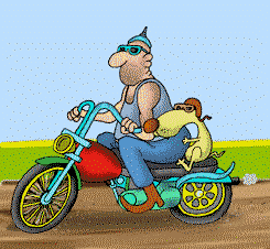 animated-motorbike-image-0028.gif