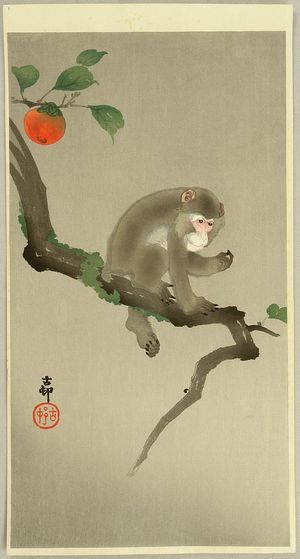 Monkey in Tree 20th cent.jpg